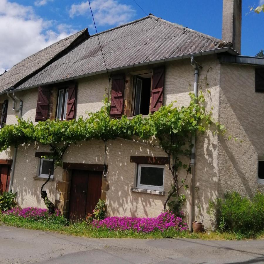 Maison Familiale Coteaux De La Vezere Voutezac Eksteriør billede