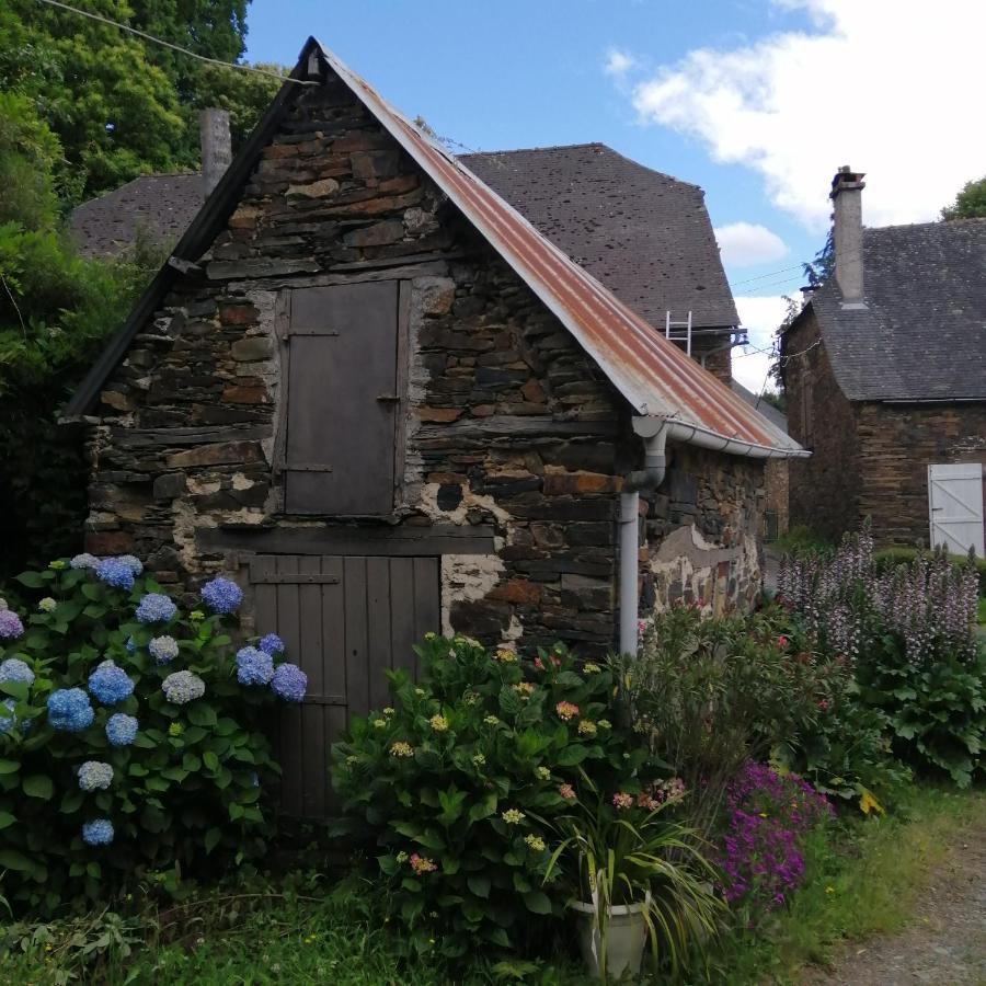 Maison Familiale Coteaux De La Vezere Voutezac Eksteriør billede